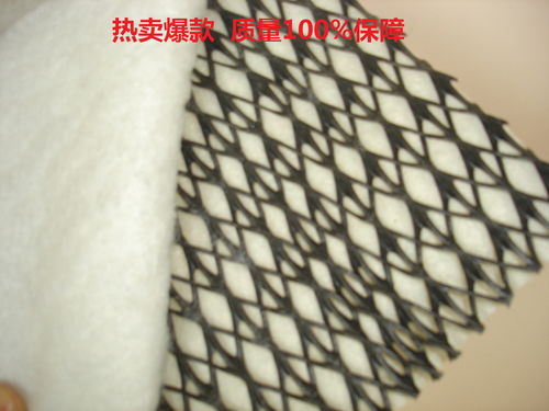 三維立體復合排水網土工網 垃圾填埋場的高效排水解決方案