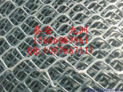 溫州高強度土工網與泰安九洲土工格室 規格齊全，應用廣泛